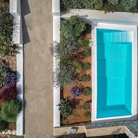 Lavender House