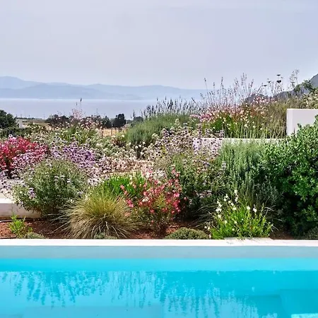 Lavender House Holiday home